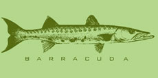 Barracuda Restaurant Virgin Gorda